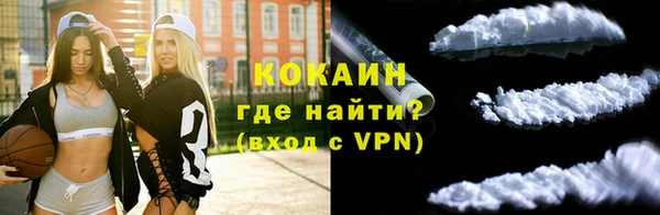 гашик Новозыбков