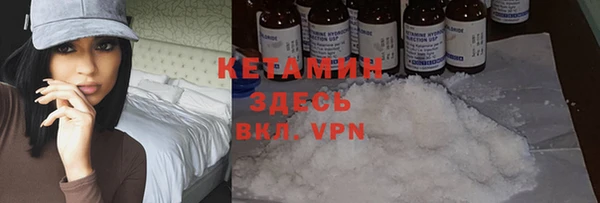 гашик Новозыбков
