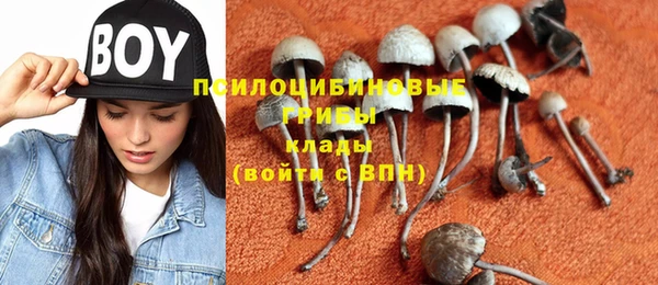 гашик Новозыбков