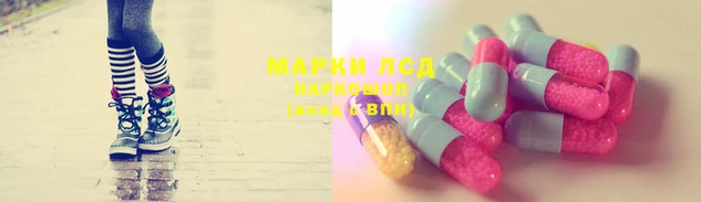 гашик Новозыбков