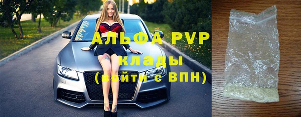 спиды Новодвинск