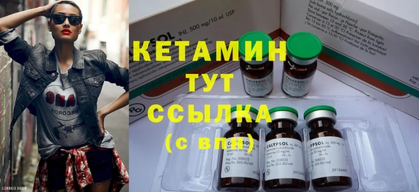 гашик Новозыбков