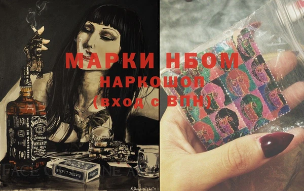 гашик Новозыбков