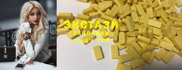 гашик Новозыбков