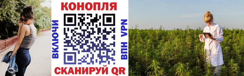 Бошки Шишки план  Цимлянск 